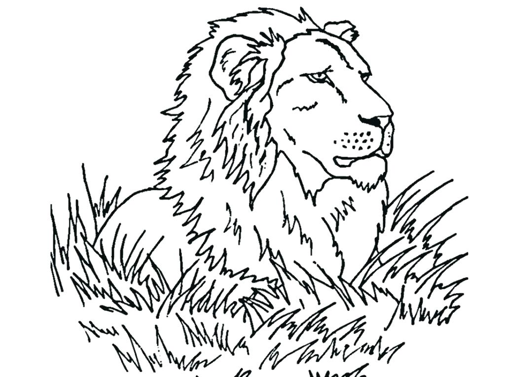 1024x766 African Animals Coloring Pages