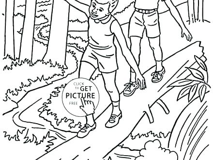 440x330 Forest Animals Coloring Pages Trees Coloring Pages Oak Tree
