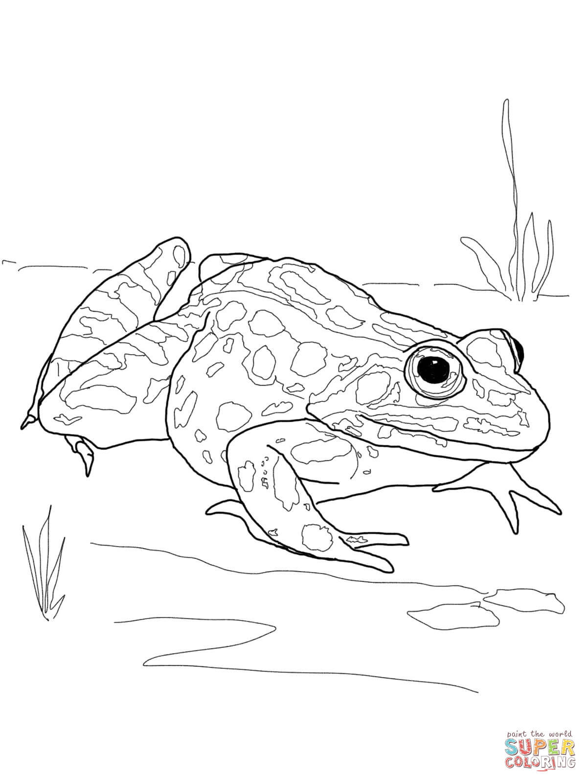 1200x1600 Pleasurable Free Printable Frog Coloring Pages Frogs Inside Jumper
