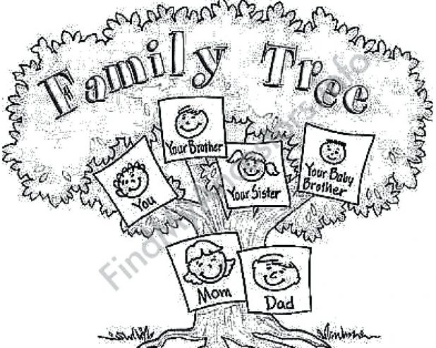 618x494 Family Tree Coloring