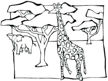 440x330 African Savanna Colouring Pages Coloring Pics Photos Animals Page