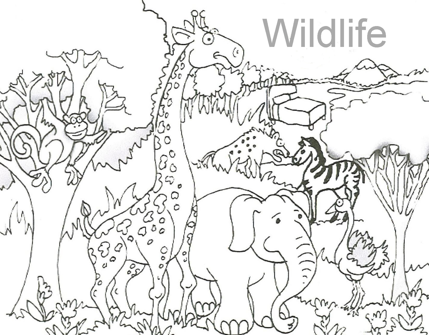 1645x1285 Helpful Coloring Pages Of Wild Animals African Animal Free