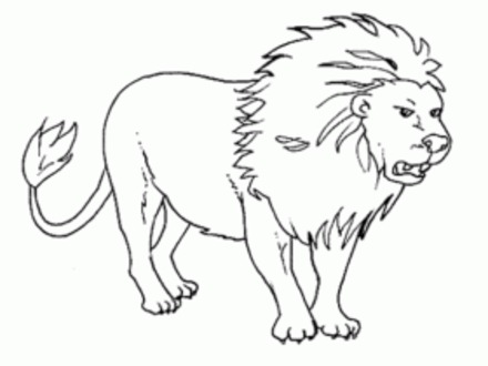 440x330 Wild Dog Coloring Pages