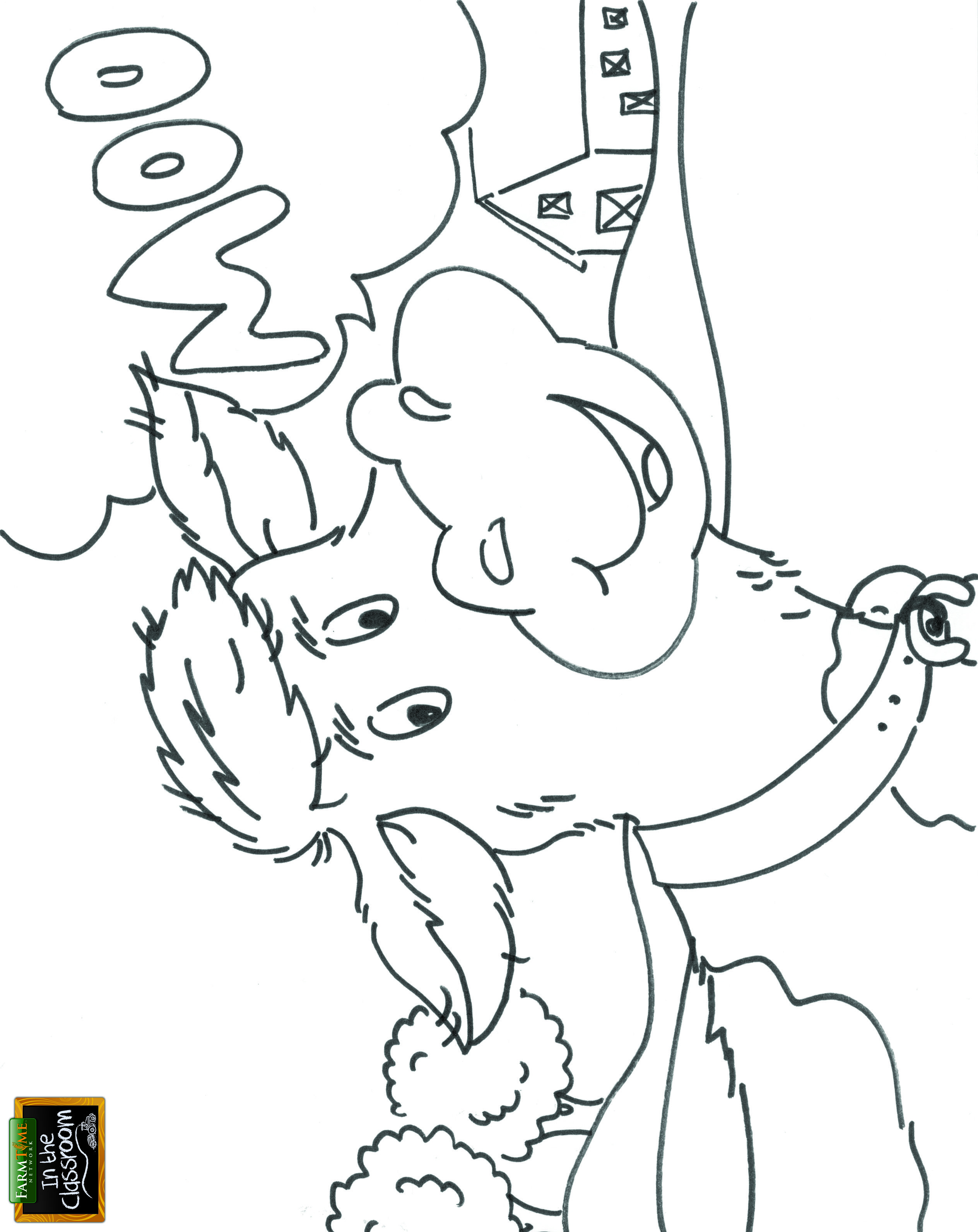 2528x3184 Free Teaching Tool