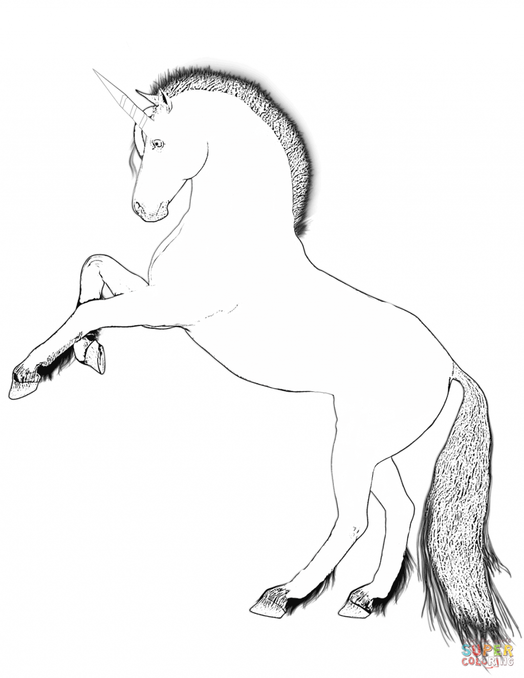 1024x1325 Coloring Book And Pages Fabulous Unicorn Coloring Pages