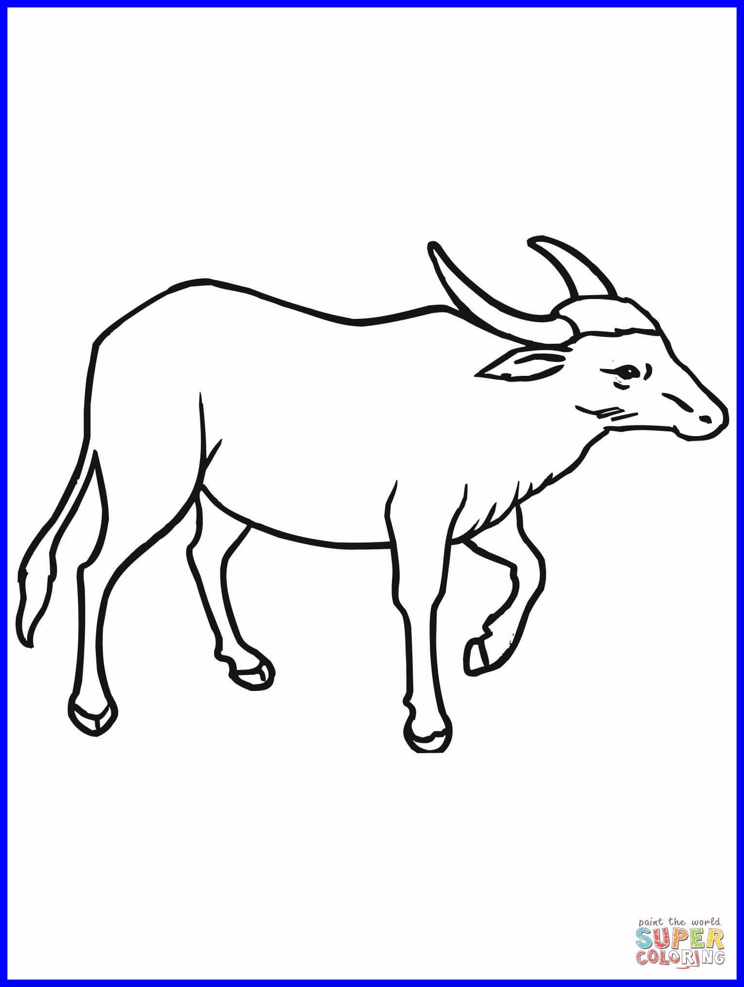 1530x2030 The Best Unusual Buffalo Coloring Printable Page Pics Of Water