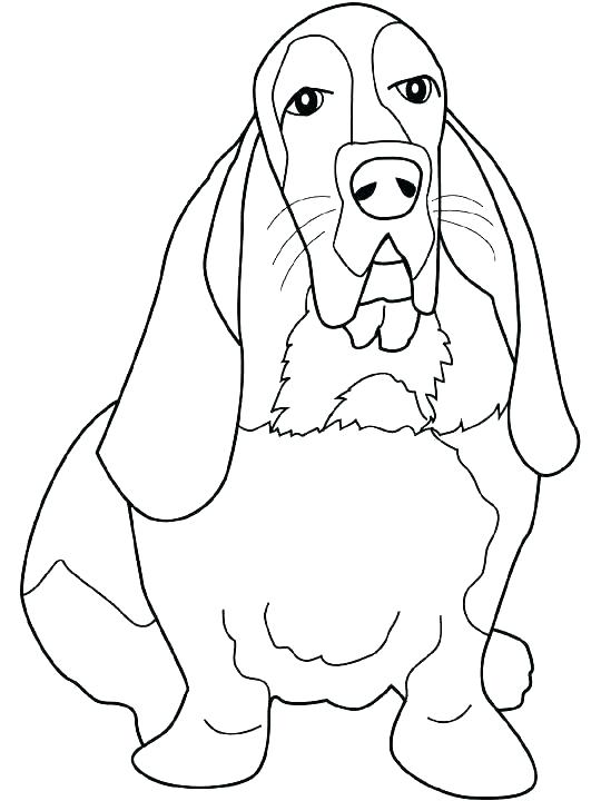 540x720 Amelia Earhart Pictures To Print