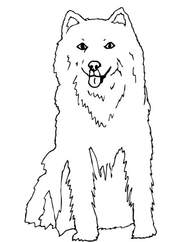 360x480 Animal Coloring Pages Page