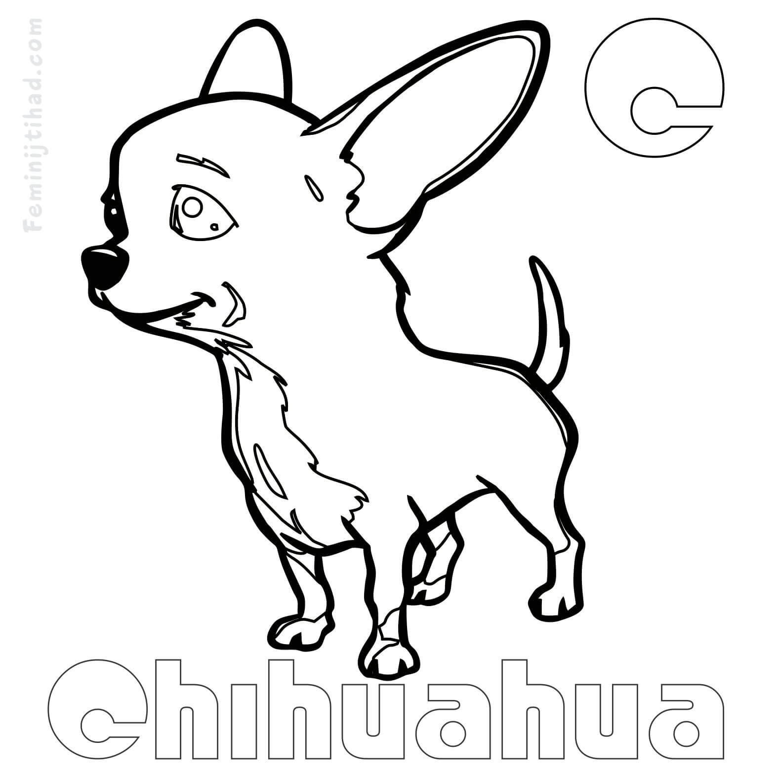 1575x1575 Chihuahua Coloring Pages