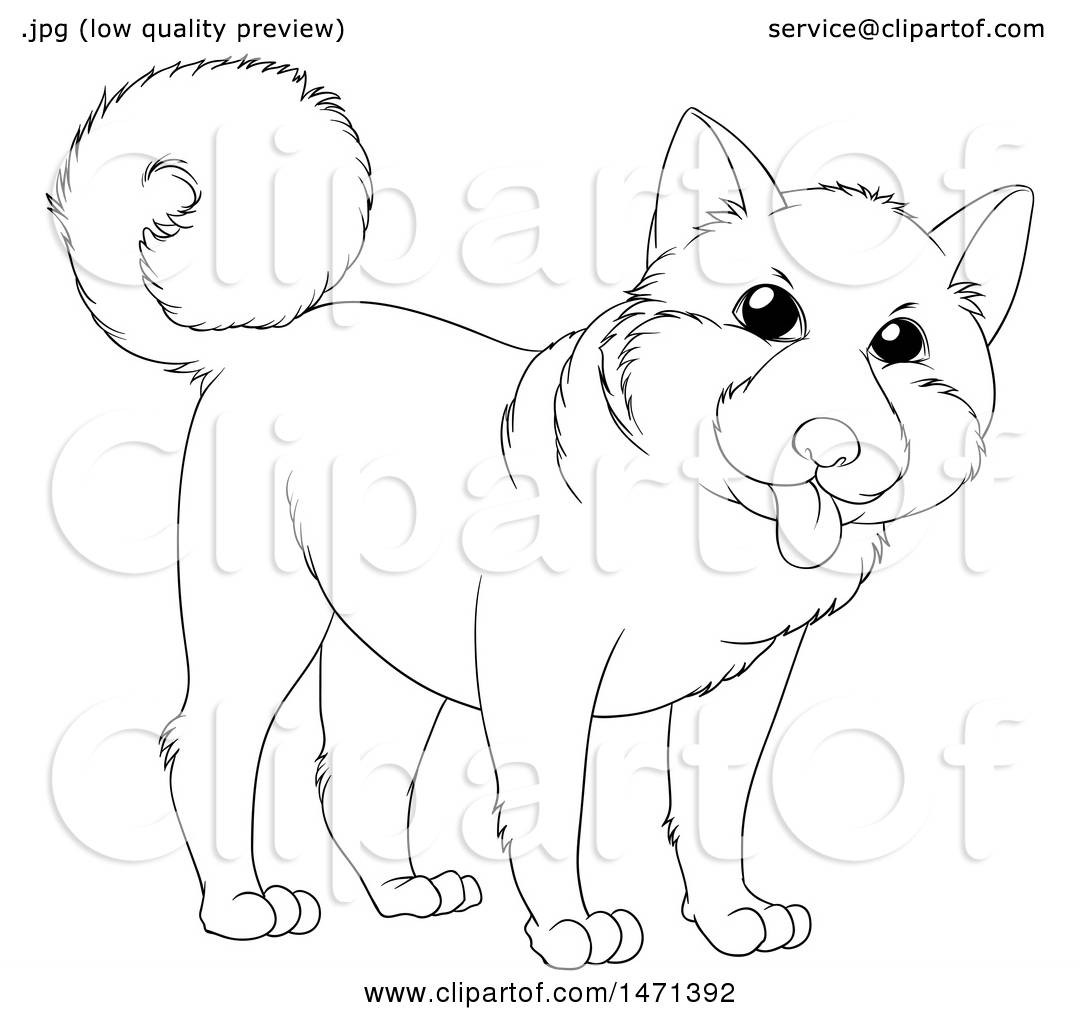 1080x1024 Clipart Of A Lineart Akita Dog
