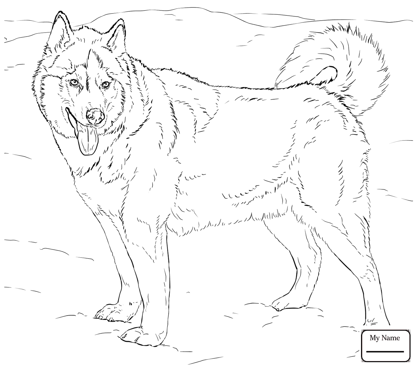 1356x1197 Homely Ideas Chihuahua Coloring Pages