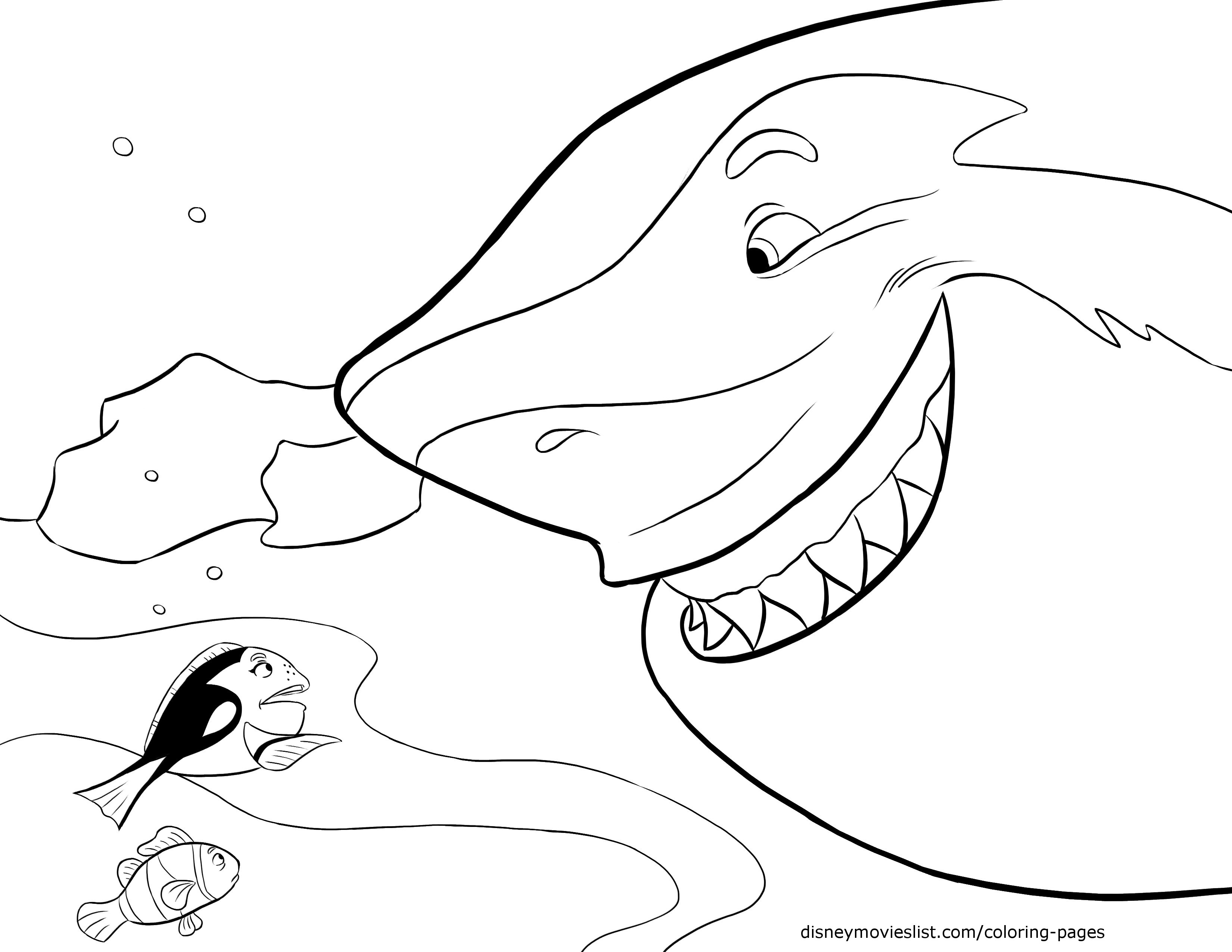 3300x2550 Marlin Coloring Pages Printable Coloring For Kids