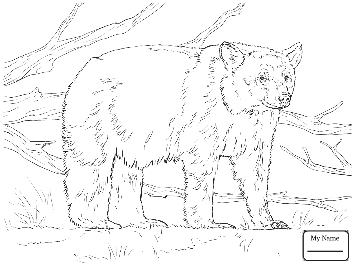 1224x918 New Dog Breed Coloring Pages Free Coloring Pages Download