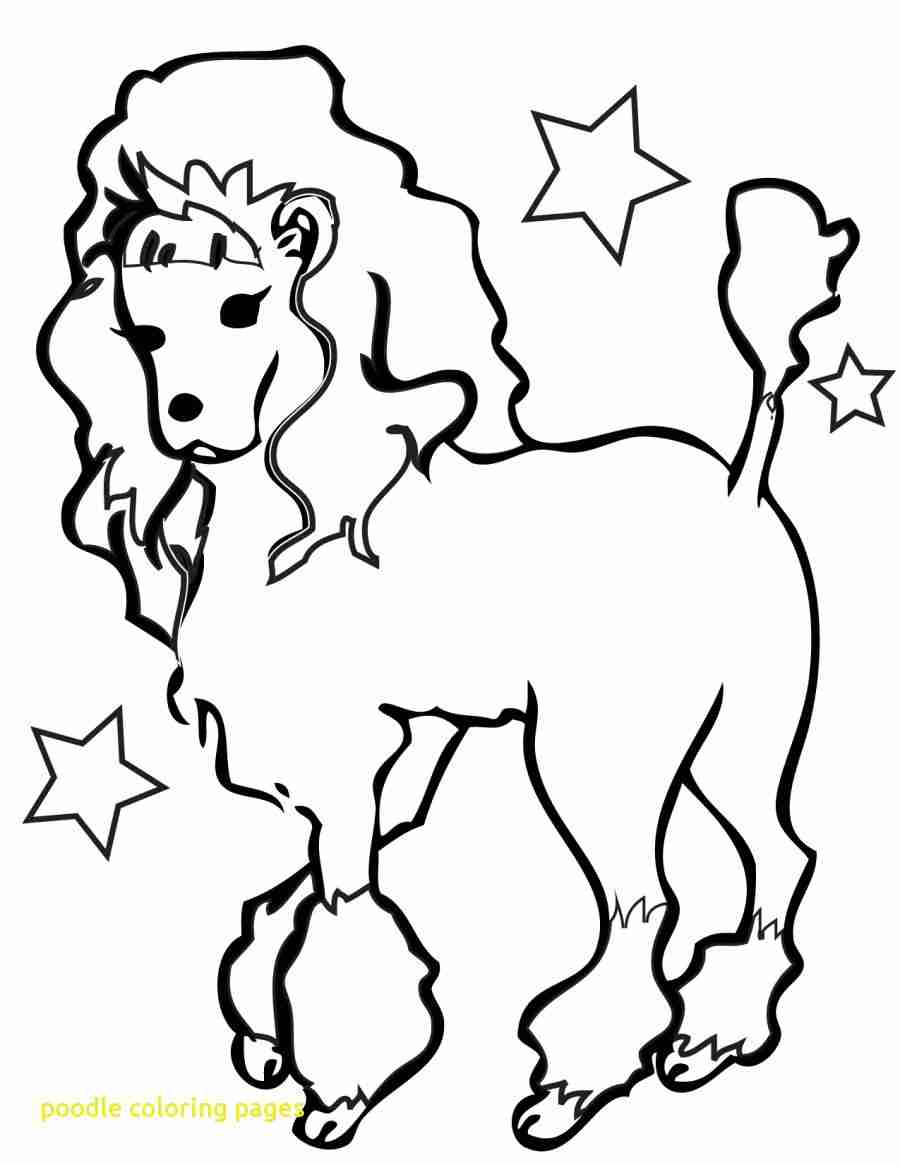 900x1165 Poodle Coloring Pages With Animal Dog Printable Animals Standard