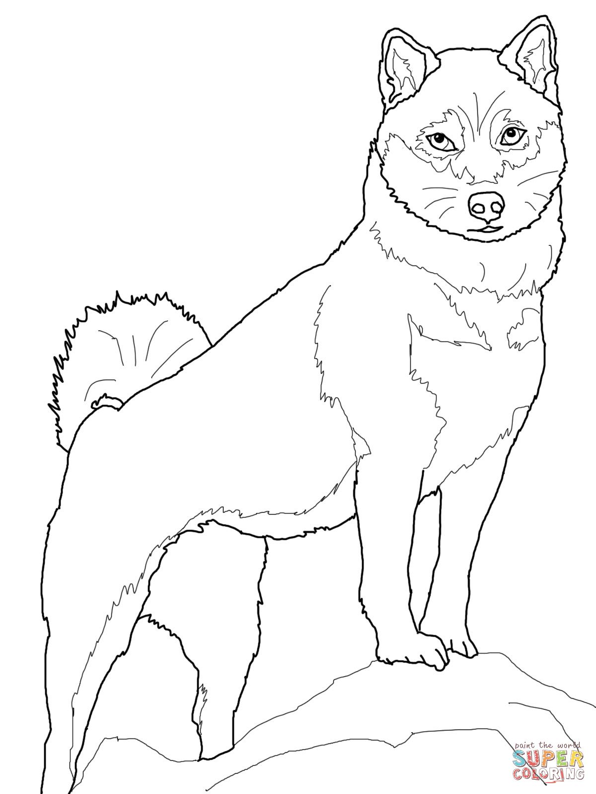 1200x1600 Shiba Inu Super Coloring Dog Patterns Shiba, Dog