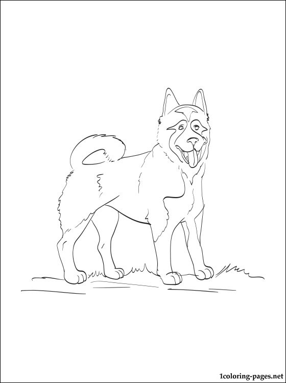560x750 Akita Dog Coloring Page Coloring Pages