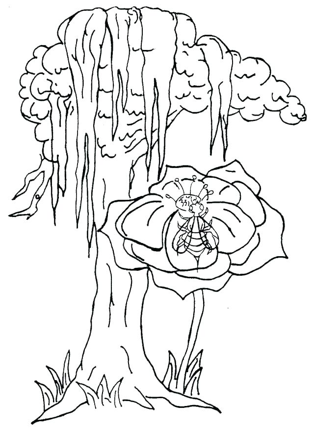 638x878 Alaska Coloring Pages Absolutely Smart Wildlife Coloring Pages