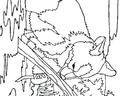 440x330 Alaska Coloring Pages Coloring Page Symbols Facts Pack Of Animals