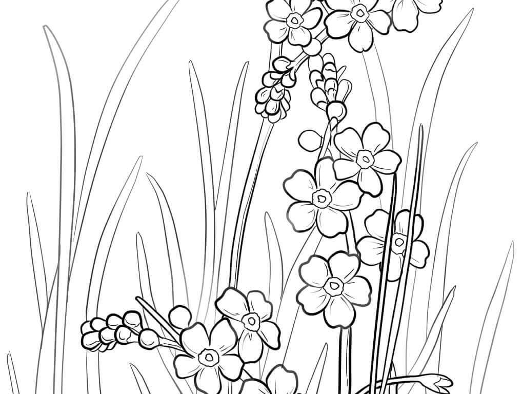 1020x768 Alaska Map Coloring Page Many Interesting Pages For Kids State