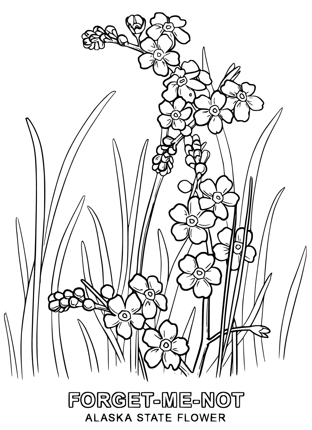 1024x1412 Printable Alaska Map Outline