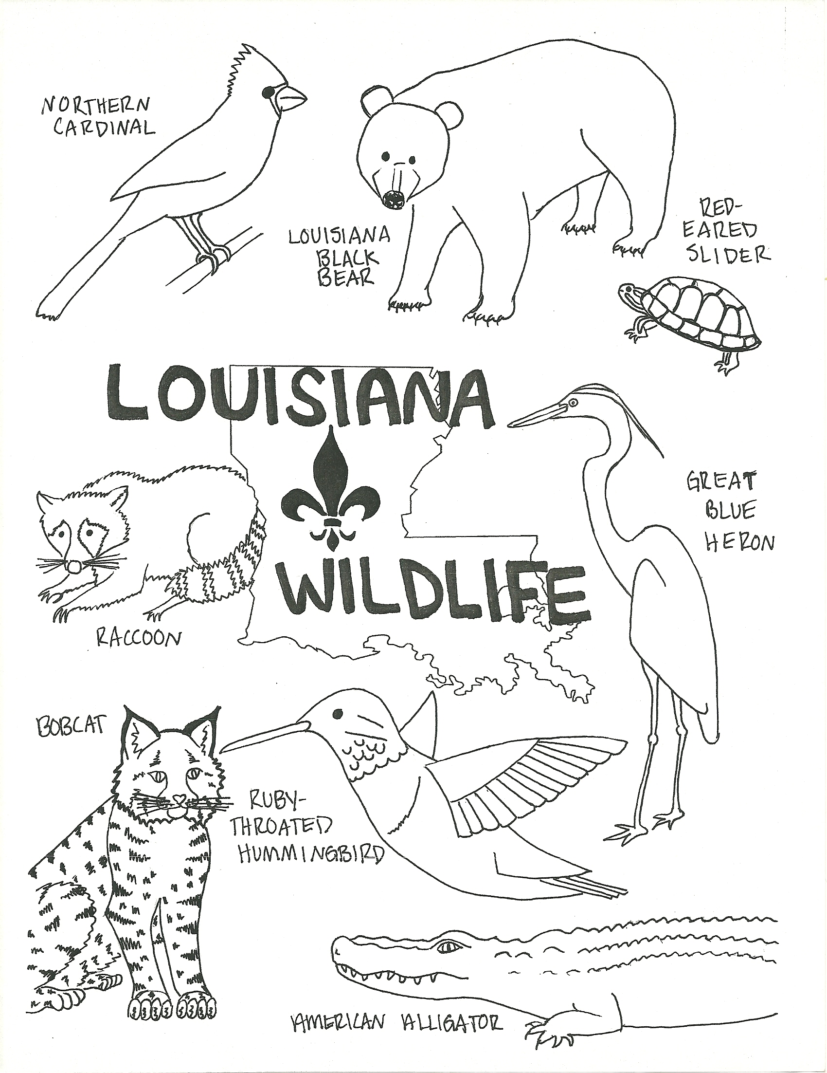 1700x2204 Tested Wildlife Animal Coloring Pages Alaska