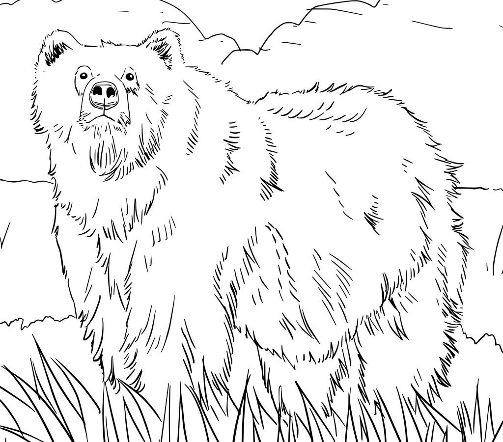 1024x900 Alaska Coloring Pages For Kids Wildlife State Symbols High Quality