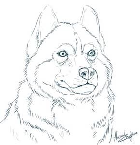 290x299 Alaskan Husky Coloring Pages