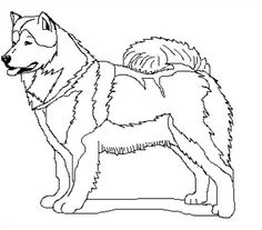236x207 Alaskan Malamute Coloring Page Worksheets And Craft