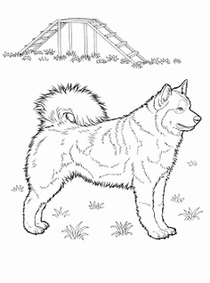 236x318 Alaskan Malamute Coloring Page Alaska Coloring Page