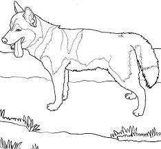 234x216 Best Printable Dog Coloring Pages