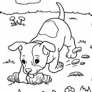 300x300 Alaskan Malamute Colouring Pages, Dog Family Coloring Pages