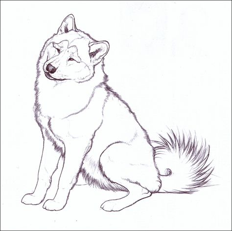 474x473 Alaskan Malamute Bitch Slovakia Not Available Alaskan