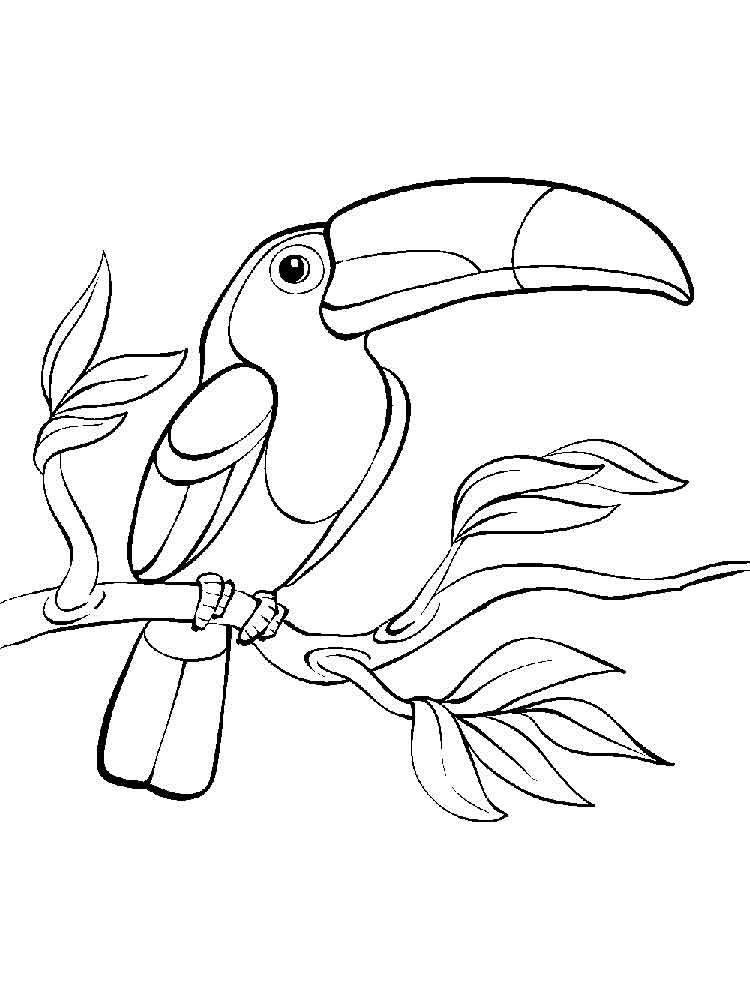 750x1000 Toucan Coloring Pages Download And Print Toucan Coloring Pages