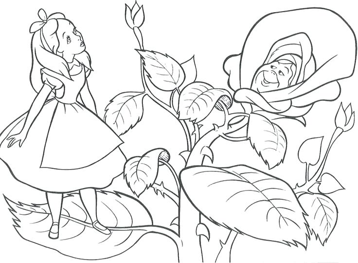 736x540 Alice In Wonderland Coloring Pages In Wonderland Coloring Pages