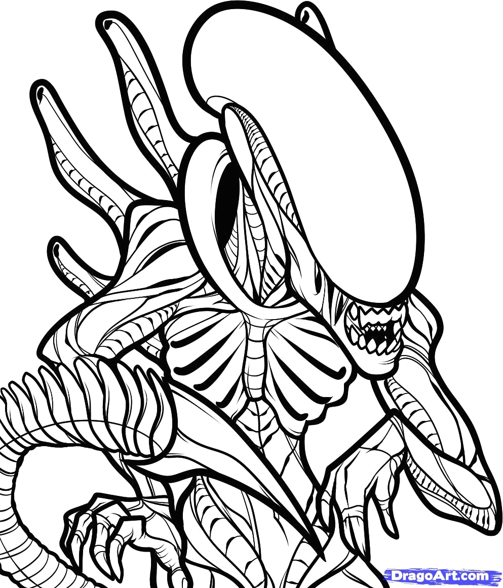 993x1161 Free Alien Vs Predator Coloring Pages Colouring To Sweet Page Avp