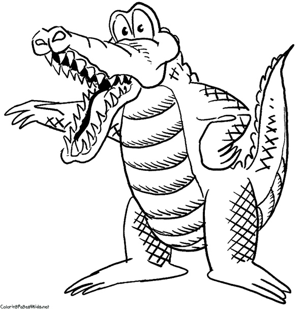 600x616 Alligator Coloring Pages