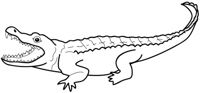 700x325 Cartoon Alligator Coloring Pages