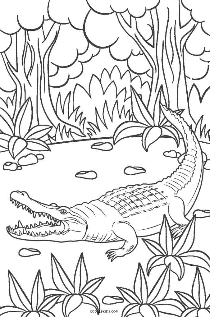 676x1020 Free Printable Alligator Coloring Pages For Kids