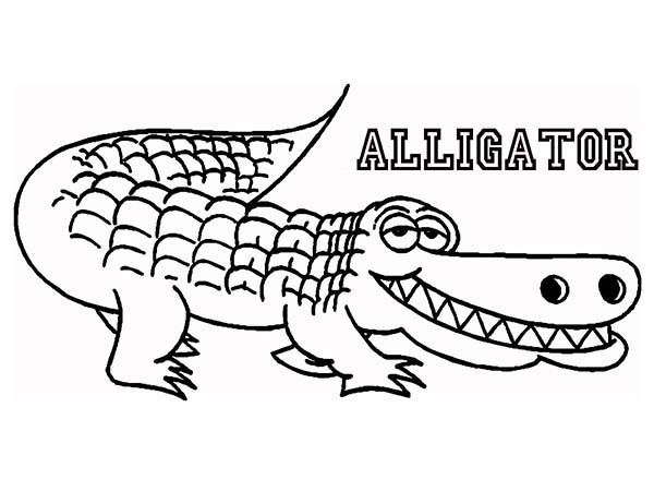 600x450 Alligator Coloring Page Alligator Coloring Pages Free Printable