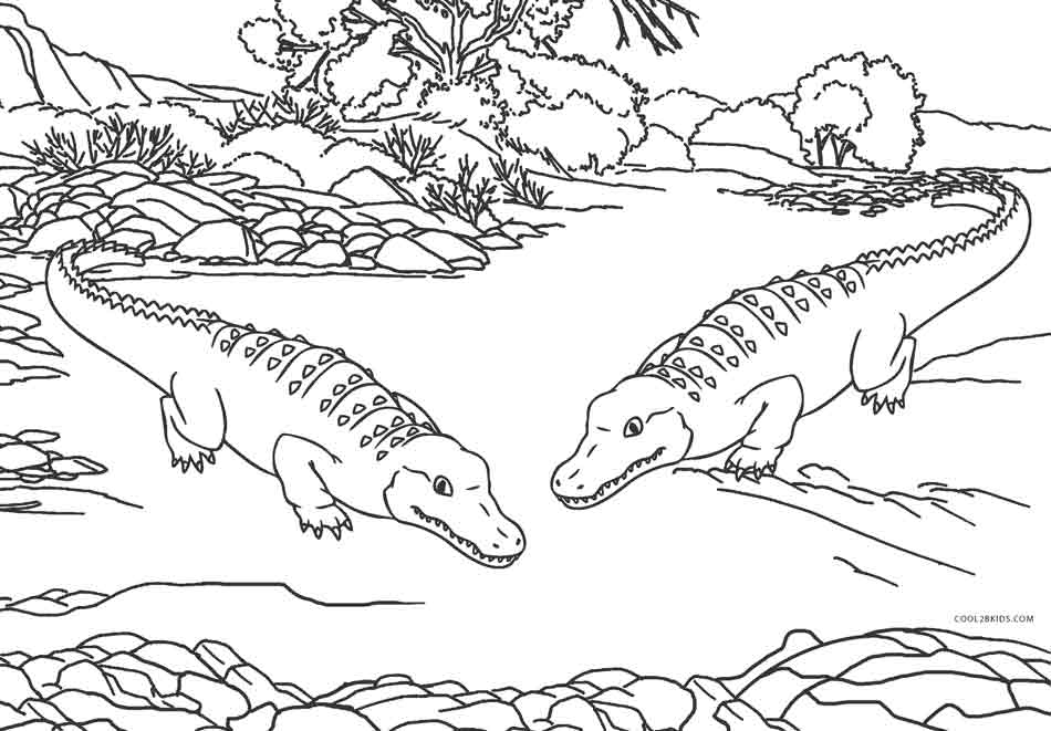950x661 Free Printable Alligator Coloring Pages For Kids