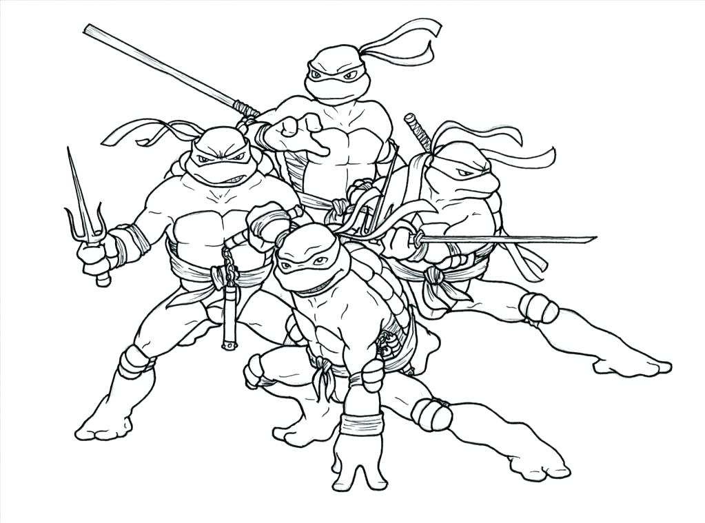 1023x759 Cute Turtle Coloring Pages Green Turtle Green Turtle Coloring Page