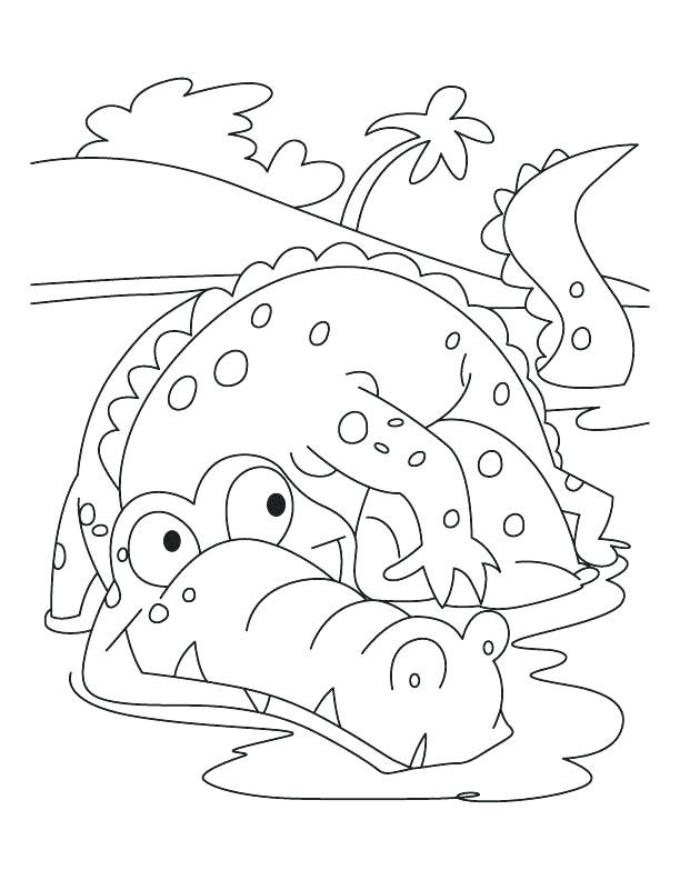 612x792 Here Are Alligator Coloring Page Images Alligator Coloring