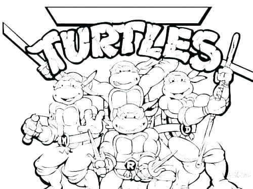 500x374 Turtle Coloring Pages Printable Coloring Pages Of A Turtle Turtle