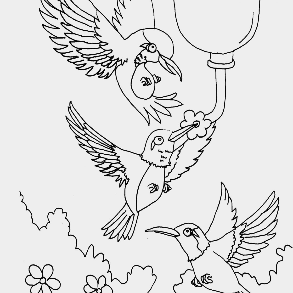 1224x1224 Hummingbird Coloring Page With Get This Beautiful Printable