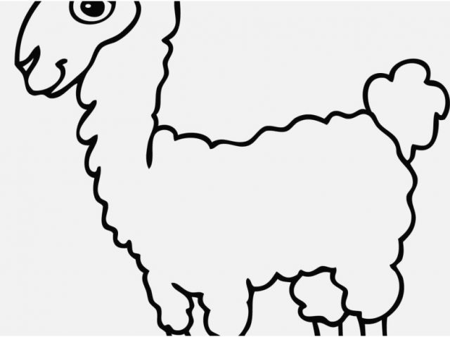 640x480 Llama Coloring Page Stock Cute Alpaca Coloring Page Free Printable