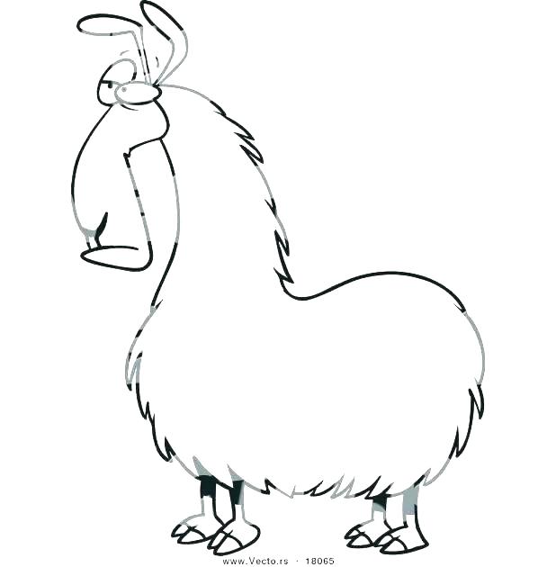 618x630 Llama Coloring Pages Best Coloring Pages Images On Llama