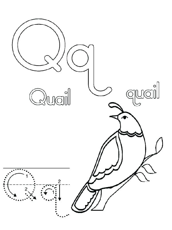 600x799 Alphabet Coloring Pages For Preschoolers