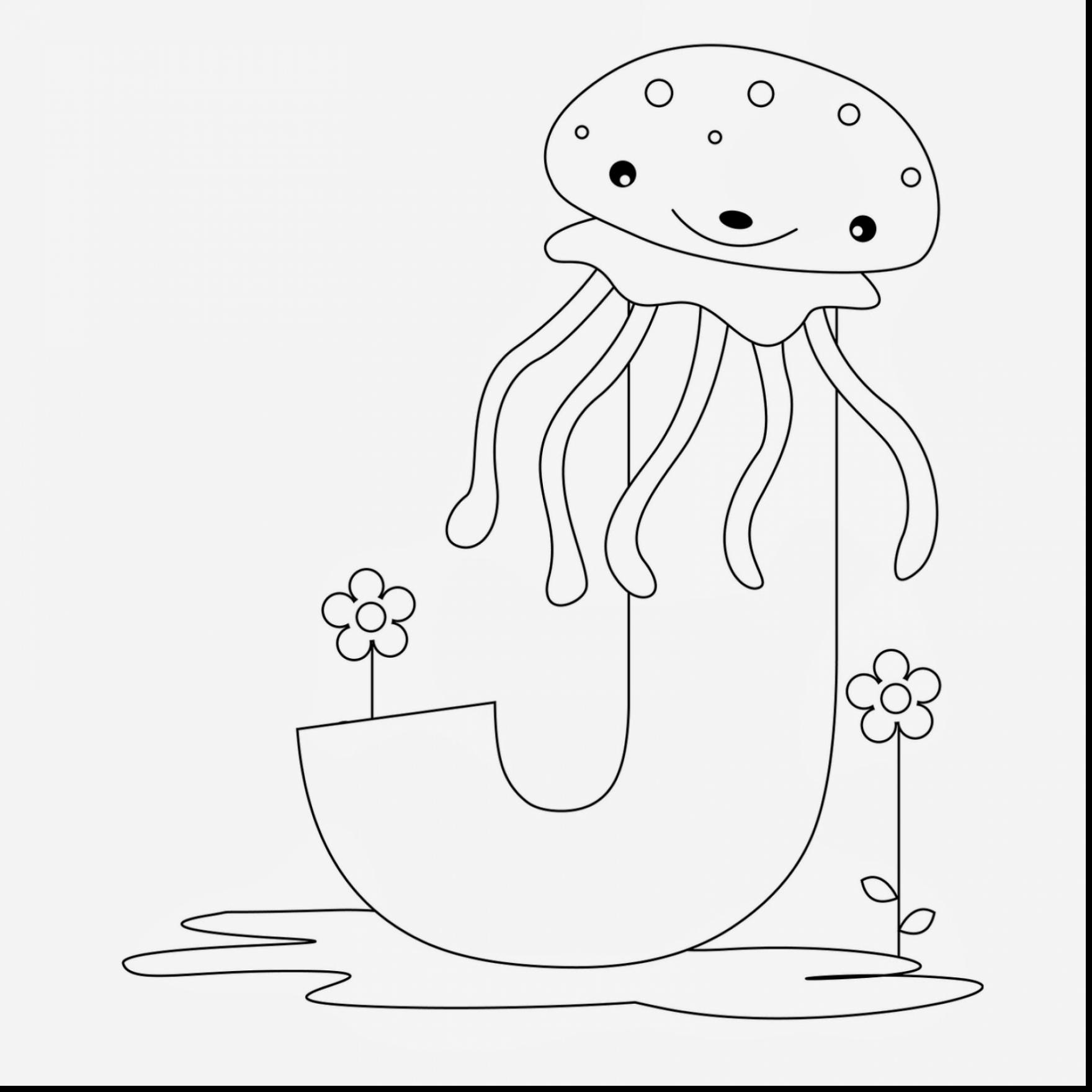 1760x1760 Marvelous Animal Alphabet Letters Coloring Pages With Letter K