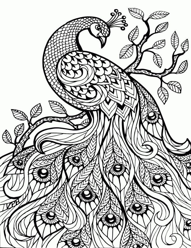 736x952 Amazing Coloring Pages Online To Print For Pain Stunning Coloring
