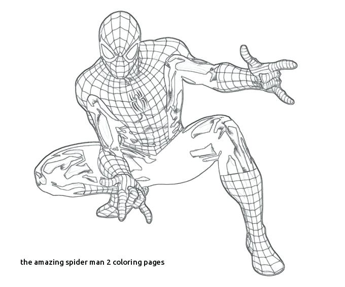 680x567 Coloring Page Spiderman Printable The Amazing Spider Man Pages